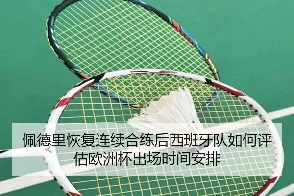 佩德里恢复连续合练后西班牙队如何评估欧洲杯出场时间安排